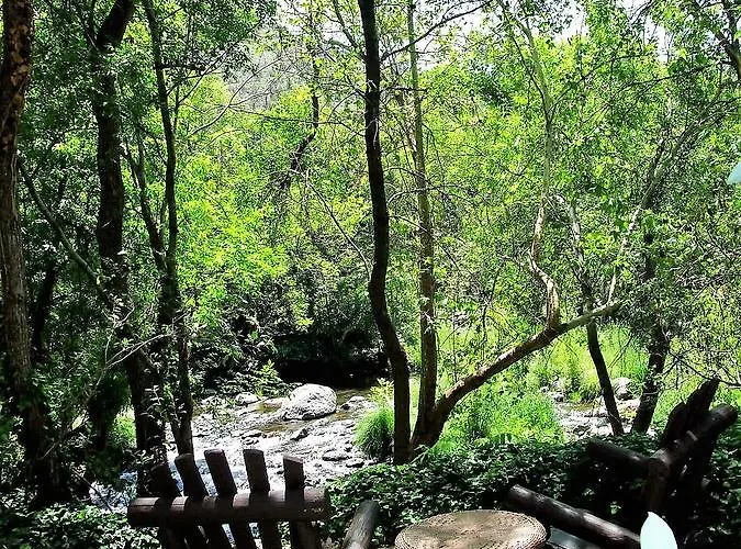 Nocleg ze śniadaniem Briar Patch Sedona